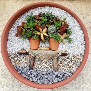 Succulent Portraits: Living Art Arrangement